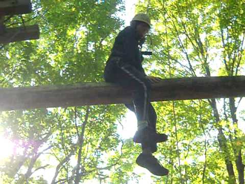 Ginger Stuck in a Tree