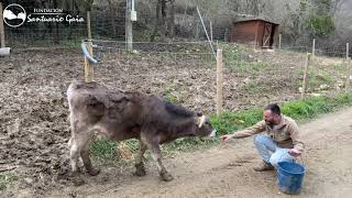 El reencuentro de Eila con sus 5 compañeras