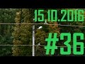 Трамвай на Сихів 15-10-2016 #36