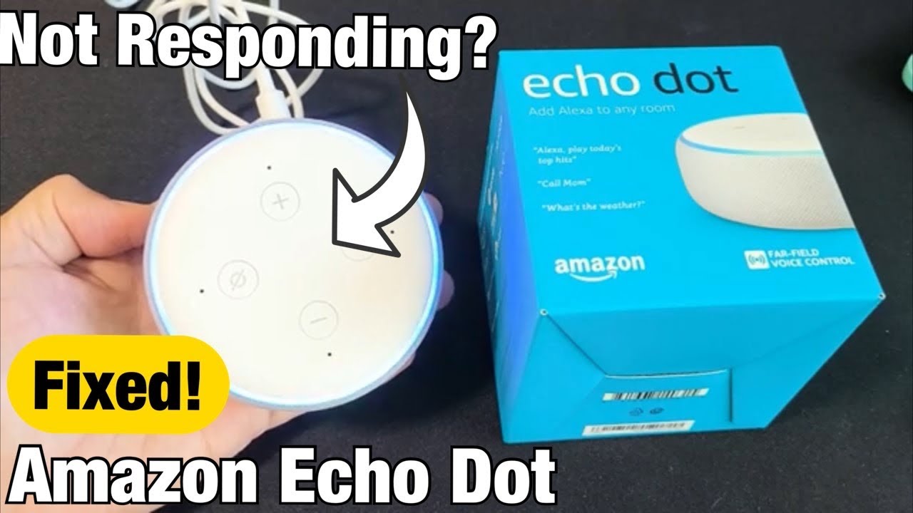 Echo Dot: Responding, Frozen or FIXED! -