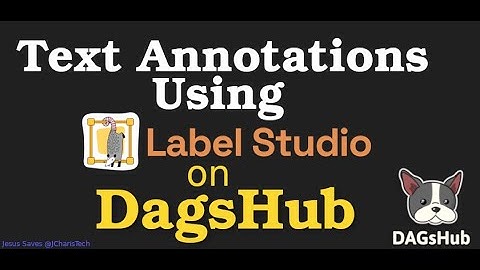 Text Annotations using Label Studio and DAGSHub  - (NLP - NER)