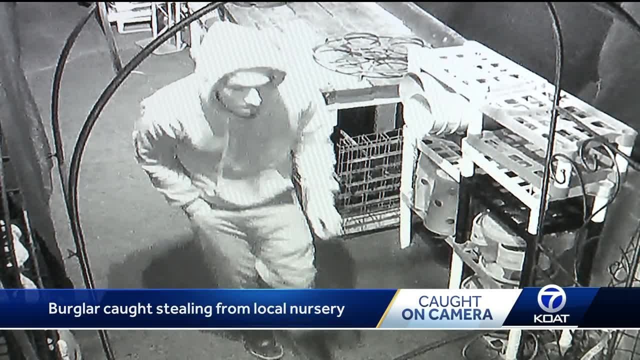 Burglar targets local nursery, caught on camera - YouTube