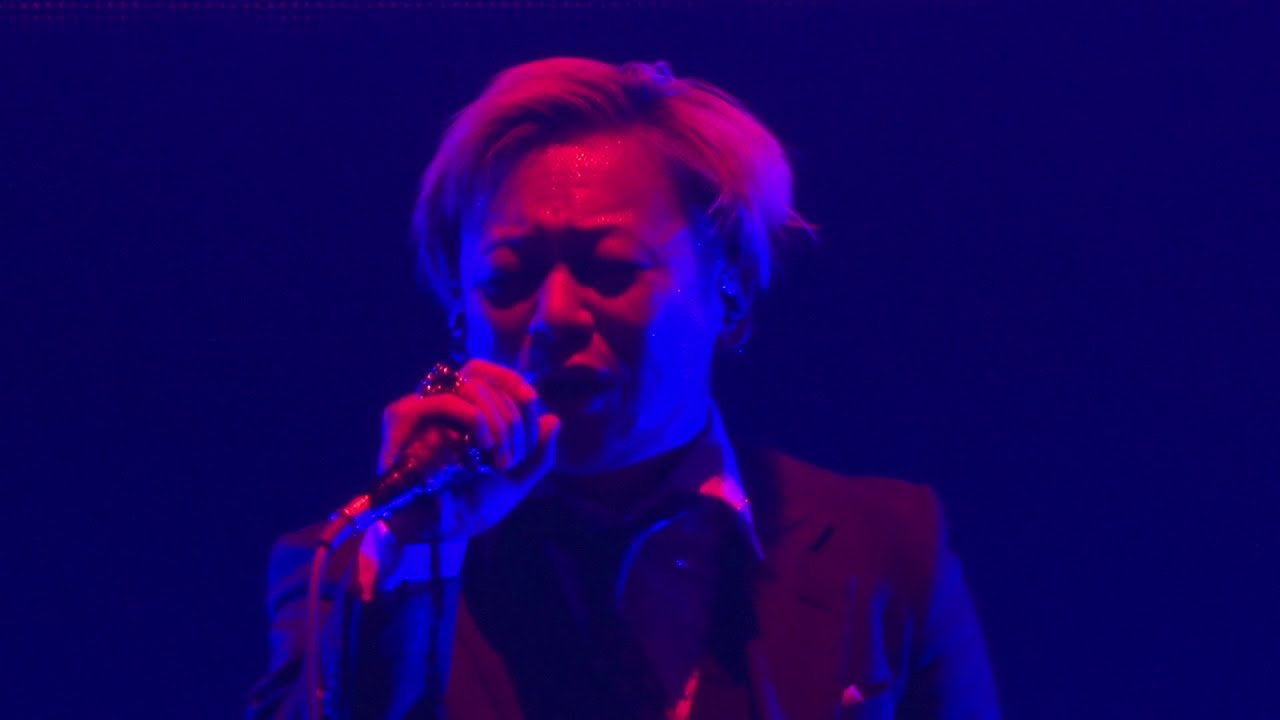 Dir En Grey Aka Live The World Of Mercy Tour19 The Insulated World Youtube