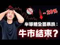 台積電帶崩半導體？！為何「這家公司」未來十年仍然看好？