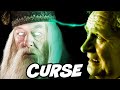Why Didn't Dumbledore Use Legilimency on Slughorn? - Harry Potter Explained