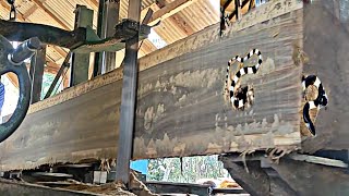 surprising unexpected discovery while sawing high value teak wood at the sawmill