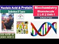 Nucleic Acid,  Amino acids & Protein - Biomolecule L-5 Unit 1 Biochemistry