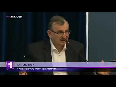 მერაბ გაბინაშვილი მიიჩნევს, რომ დეპუტატ მელიასთან დაკავშირებით კანონიერი გადაწყვეტილება მიიღო
