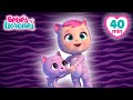 El gatito perdido 😿 Bebés Llorones | Dibujos Animados para Niños en español