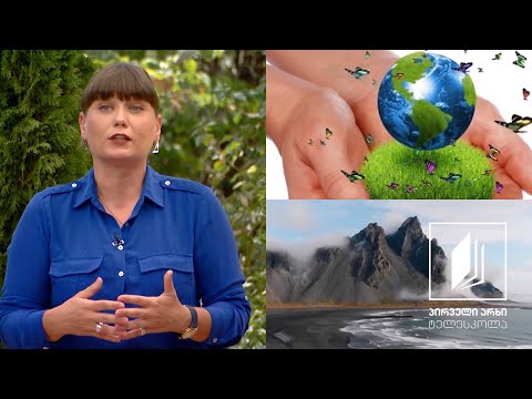 გეოგრაფია, VII კლასი - რას შეისწავლის გეოგრაფია #ტელესკოლა