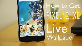 How to get Pixel 2 XL Live Wallpapers on Any Android phone | Hindi screenshot 2