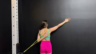 Banded Shoulder Abduction Wall Slides 