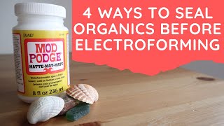 4 Ways To Seal Organics Before Electroforming