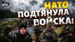 ПОШЛА ЖАРА! НАТО подтянула войска к границам РФ: СОТНИ ТЫСЯЧ СОЛДАТ ждут приказа для удара