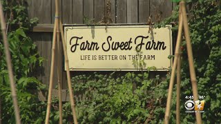 Gardening 101 Fall Vegetable Gardening In North Texas