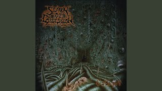 Watch Spawn Of Possession Spawn Of Possession video