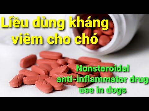 Video: Steroid Cho Chó - Steroid Cho Chó