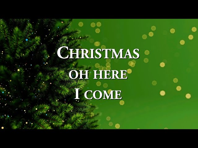 Jacaranda - Christmas Here I Come