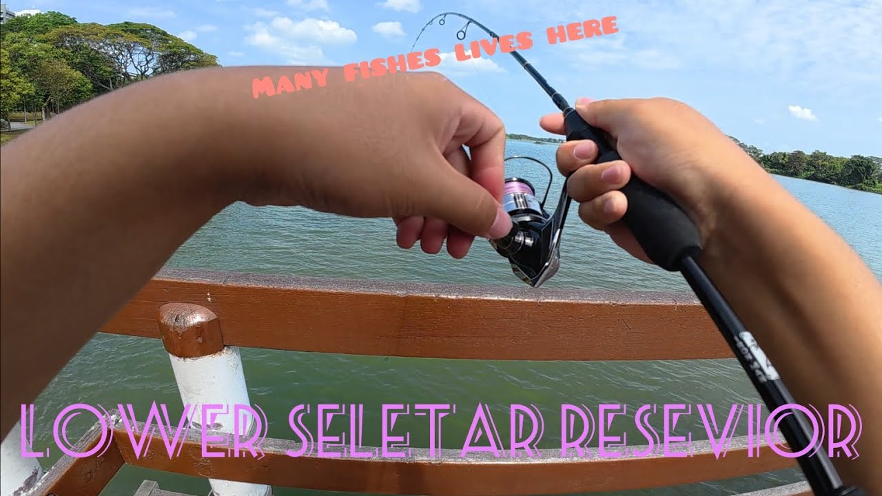 I fished only at one spot and still caught many fishes?! | Singapore Fishing |