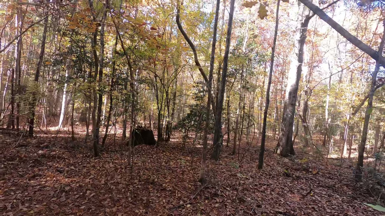 What Is The Last Day Of Deer Season In Virginia What Is The Last Day Of Deer Season In Virginia