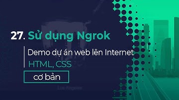 27. Hướng dẫn dùng Ngrok demo dự án web lên Internet | Run and fix bug