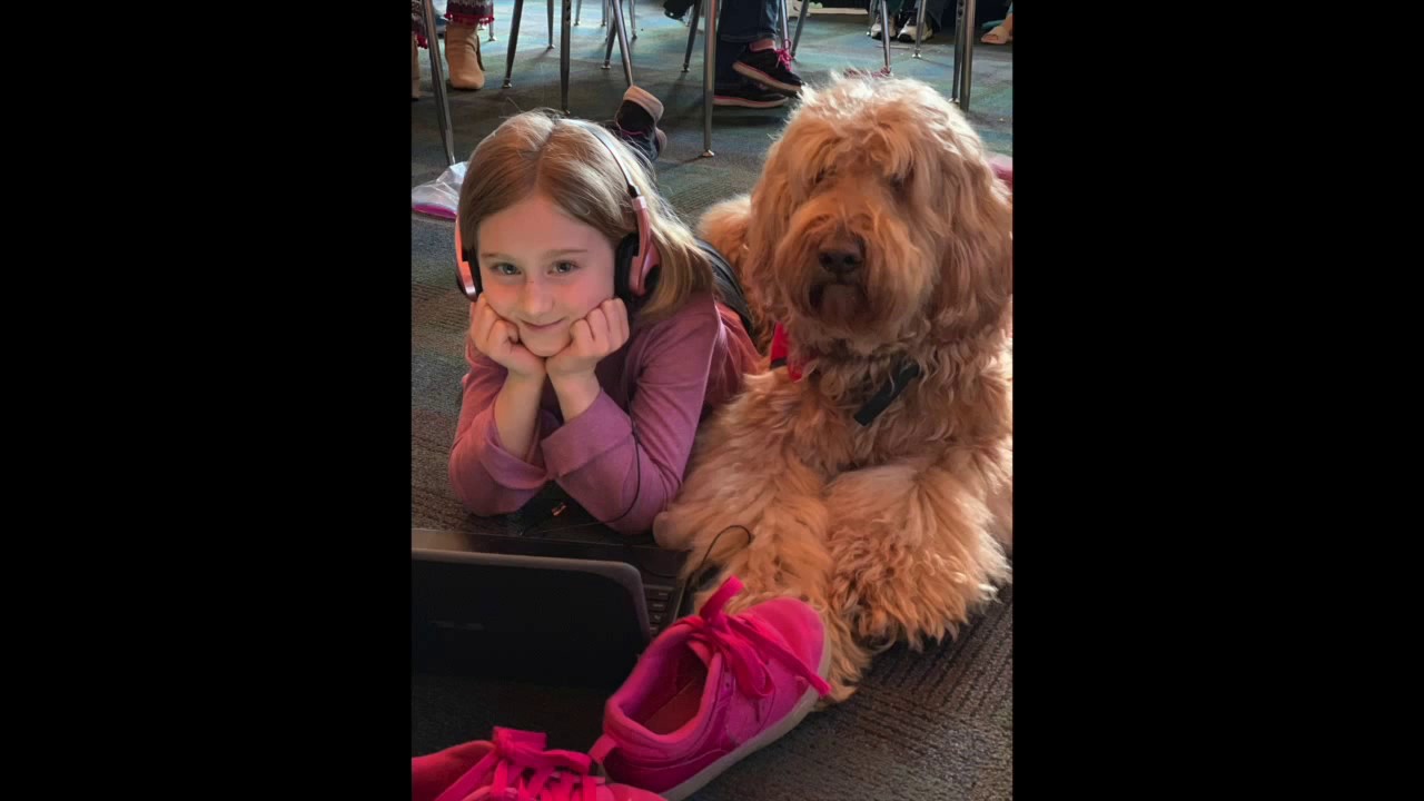 Ealy Elementary 2019 Reading Month Conclusion