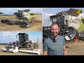 Getreideernte 2021 Lagergetreide dreschen & mulchen Mähdrescher CLAAS Lexion & Xerion Landwirtschaft