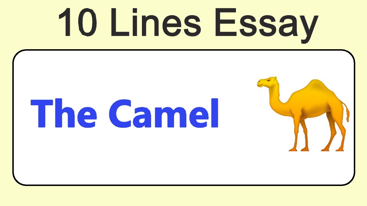 Camel ten. Camel Style for essay. Camel перевод на русский