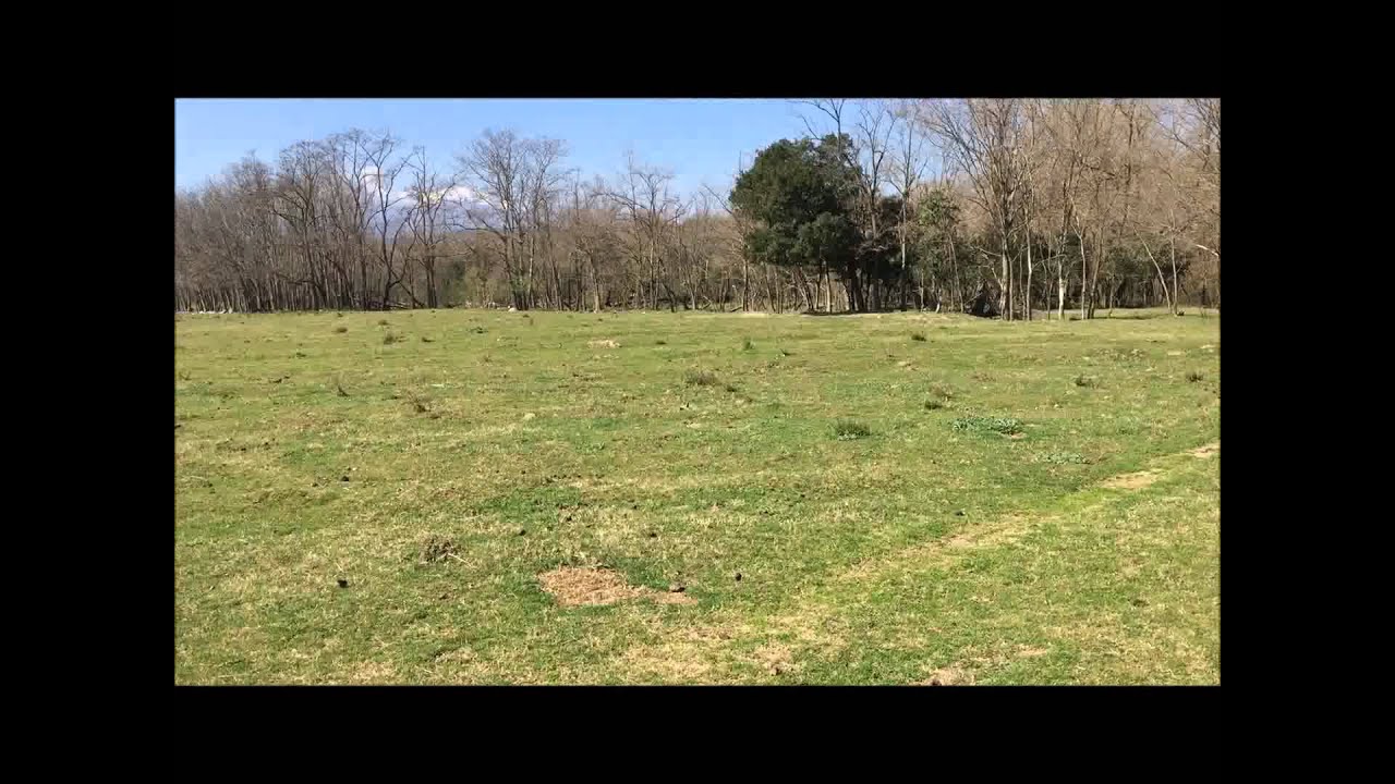 Retraités condamnes à 41 150 euros pour un abri à chevaux..