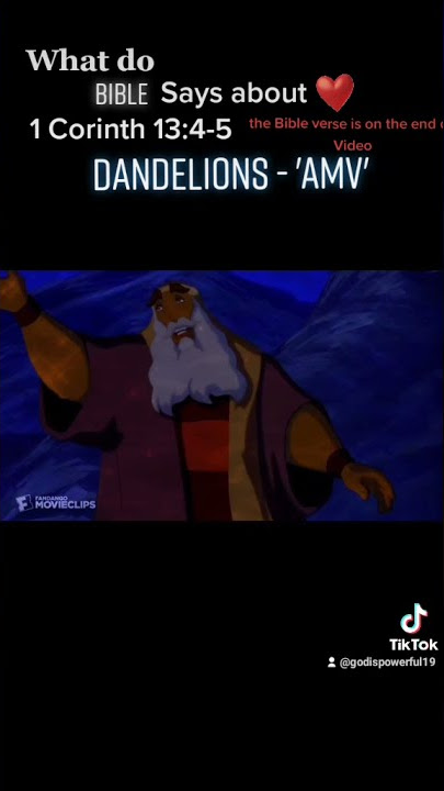 𝙼 𝙾 𝚂 𝙴 𝚂   𝚇   𝚃 𝚉 𝙸 𝙿 𝙿 𝙾 𝚁 𝙰 𝙷