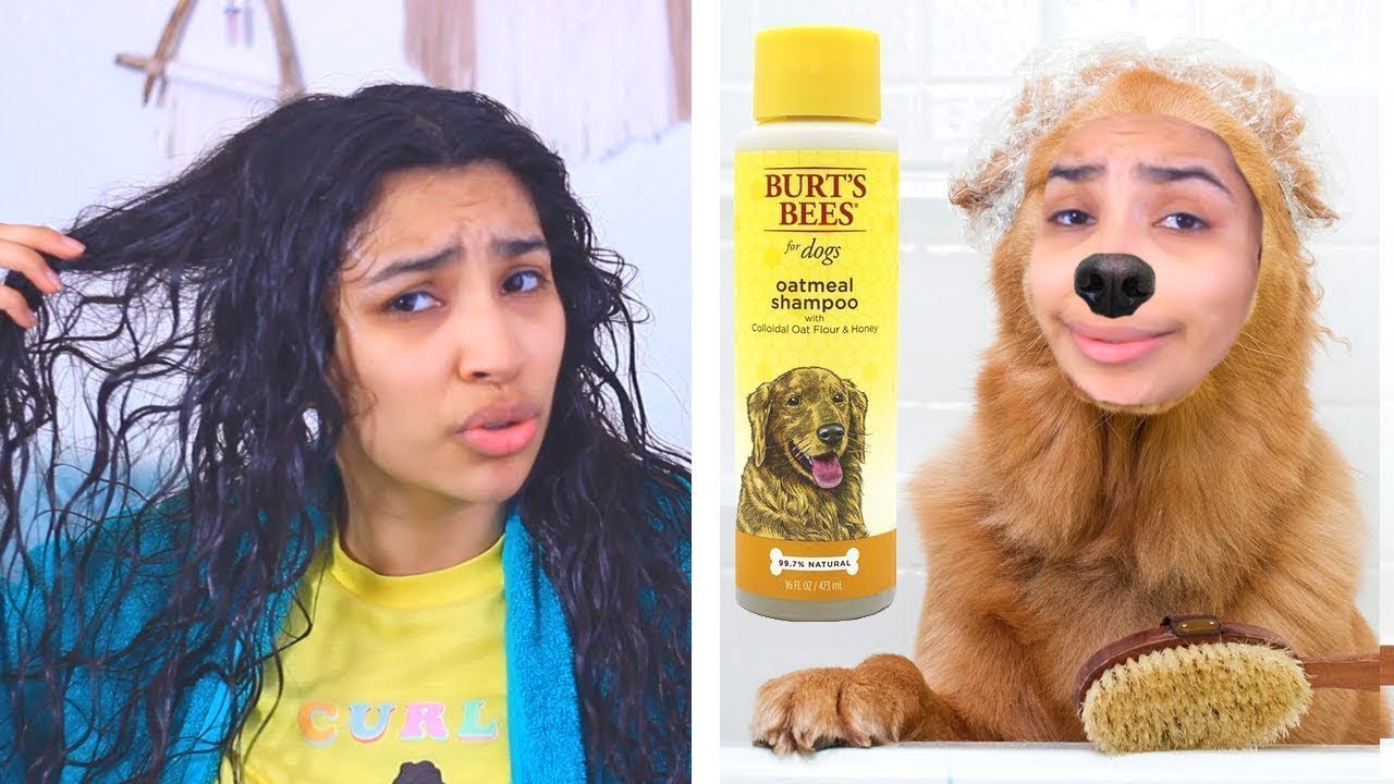 I Tried Dog Shampoo 🐶 (yes i am serious)