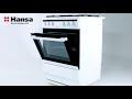 Газоэлектрическая плита Hansa FCMW68020 Integra