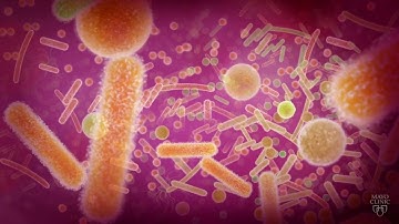 Longitudinal Multi-omics in IBS / Cell, September 17, 2020 (Vol. 182, Issue 6)