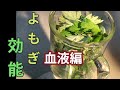 【野草活用】高血圧の方必見！『よもぎ』血液にイイ効果がたくさん！＜田舎暮らし＞
