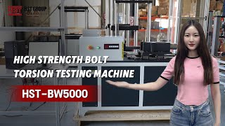 How to test bolt strengthHST High Strength nut Bolt Torsion Testing Machine for torsion tester