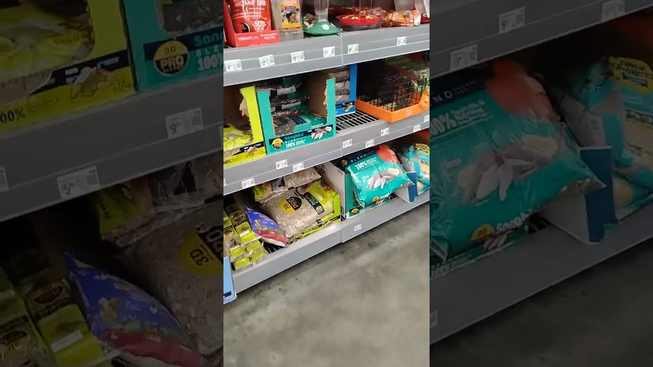 Guess where? Only place in town really.