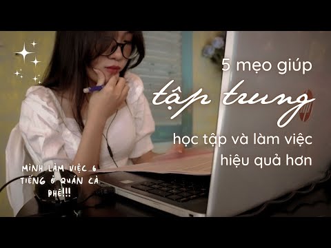 Study Tips | 5 Mẹo Giúp Tập Trung Học Tập Và Làm Việc Hiệu Quả Hơn | mal's home