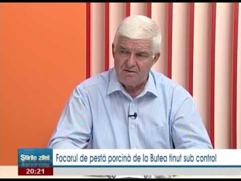 Focarul de pesta porcina de la Butea este tinut sub control televiziune digitala moldova