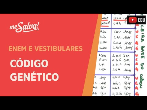 Vídeo: Um Dia Seremos Capazes De Codificar Todas As Informações Do Mundo Em Alguns Litros De DNA - Visão Alternativa