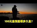 100元魚餌，在澳洲能釣多少魚？