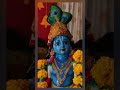 Narayaneeyam dashakam 1 slokam 8