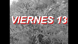 Viernes 13 - Marcos Menchaca Letra
