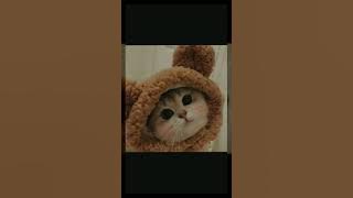 1762790485664734_u8c678383_2