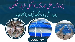 How to Start Biofloc Fish Farming | Step-by-Step Guide | Tank, Fish, Feed & Marketing Plan 2025