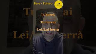Verbo Avere Futuro  irregular beginners future
