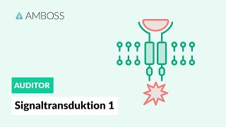 Signaltransduktion Teil 1 -- Was ist Signaltransduktion?  -- AMBOSS Auditor