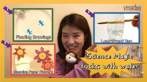 Science Magic Tricks with Water | Floating drawings, Magical blooming paper flowers, Leak-proof bag