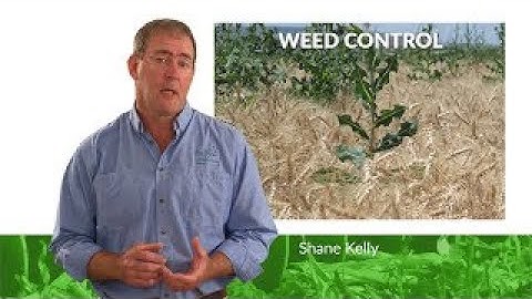 Weed Control | KELLY Advice Series (Episode 2)