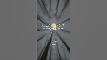 - ألم تر كيف فعل ربك بأصحاب الفيل - القارئ الشيخ إسلام صبحي ✨