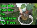The best container mix for figs